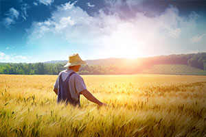 環境科學<em>與</em>工程<em>專業</em>：《<em>生態</em><em>保護</em><em>與</em><em>可持續發展</em>》<em>課程</em>教學研究