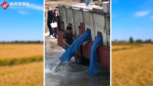 保護長江生態環境：政府<em>投放</em>四萬斤魚苗