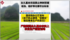 永久性基田：強(qiáng)農(nóng)興農(nóng)戰(zhàn)略