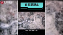 荷蘭生物學(xué)家發(fā)明出可自愈混凝土，提高了混凝土的使用壽命