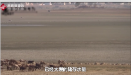 為印度孟買港提供<em>水資源</em>的湖泊和大壩儲(chǔ)存嚴(yán)重不足