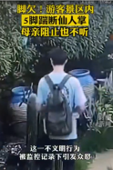 連踹5<em>腳</em><em>踢</em>斷景區仙人掌！男子引發眾怒