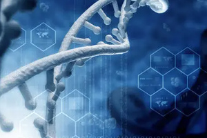 <em>課程標準</em>：生物制藥技術<em>專業</em>《GMP實務》<em>課程標準</em>