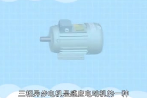 三相異步<em>電動機</em>