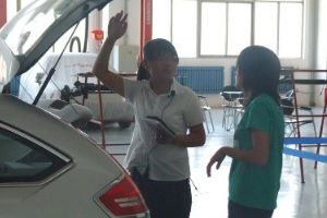 汽車銷售顧問—專業(yè)汽車消費咨詢?nèi)藛T