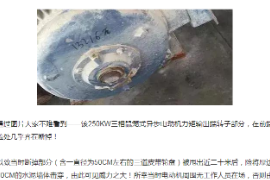 <em>三相</em>鼠籠式<em>電機(jī)</em><em>的</em>起動事故