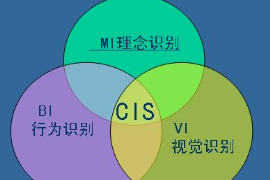 <em>CIS</em>企業(yè)識別系統(tǒng)