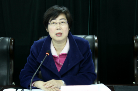 執(zhí)掌估值750億美金的螞蟻<em>金</em>服女王——彭蕾