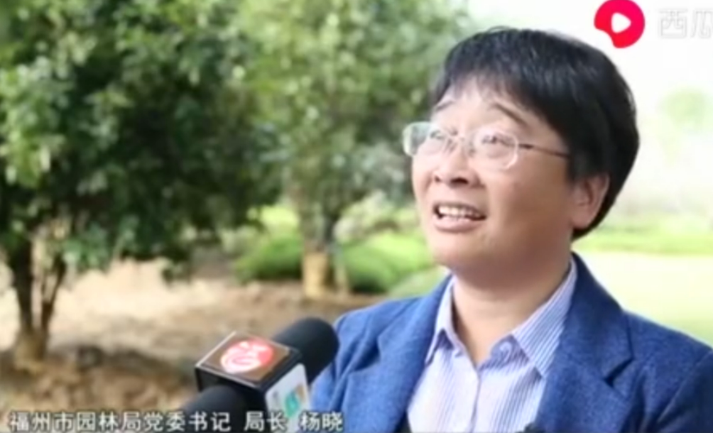 福州市<em>園林</em>局局長楊曉：小步積大綠 呵護滿城<em>綠蔭</em>