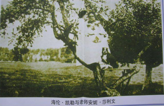 安妮沙利文和海倫.凱勒