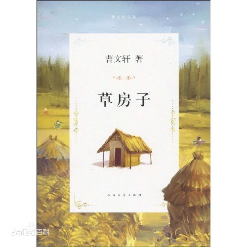桑桑望著這一幢一幢草房子，淚水朦朧之中，它們連成了一大片金色。——《草房子》