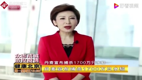 丹麥宣布捕殺1700萬(wàn)只水貂，因水貂養(yǎng)殖場(chǎng)出現(xiàn)變異新冠病毒！