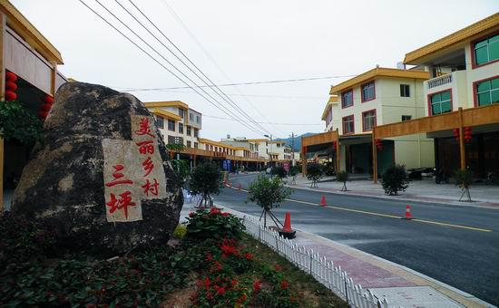 高效農(nóng)業(yè)型模式一一福建省漳州市平和縣三坪村