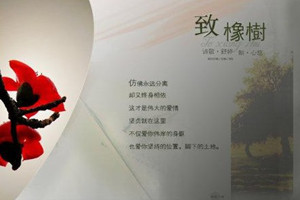 《致橡樹》：舒婷創(chuàng)作的當(dāng)代詩歌