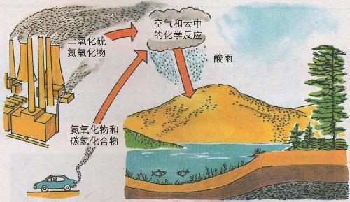 酸雨<em>的</em>形成及危害
