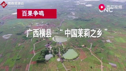 <em>廣西</em>橫縣—“中國茉莉之鄉(xiāng) ”
