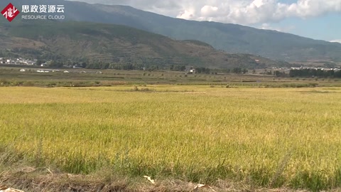 發(fā)展稻<em>漁</em>綜合種養(yǎng) 實(shí)現(xiàn)農(nóng)業(yè)生態(tài)雙贏
