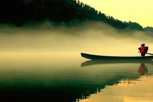 <em>水產</em>類<em>專業</em>：水生野生動植物保護<em>學</em>《從黑天鵝消失之謎到野生<em>動物</em>保護》<em>課程</em><em>思</em><em>政</em><em>案例</em>