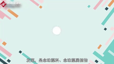 帶你了解“旃”——發(fā)菜