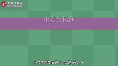 <em>小麥</em>條<em>銹病</em>