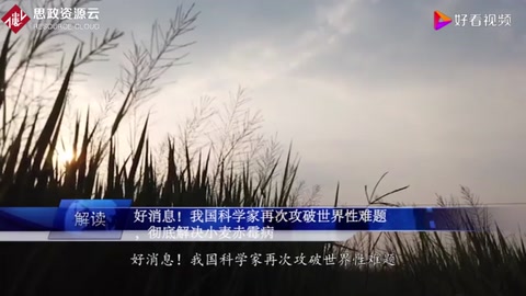 好消息！我國科學攻克世界性難題，徹底解決<em>小麥</em>赤霉病