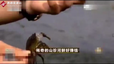 90后大學(xué)生回農(nóng)村零基礎(chǔ)養(yǎng)殖螃蟹
