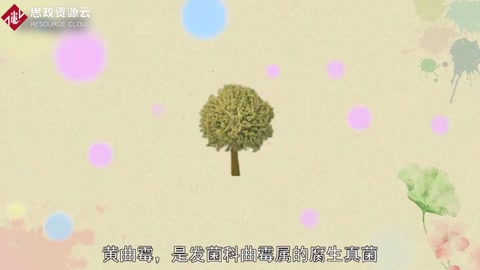 原來(lái)黃曲霉長(zhǎng)這樣