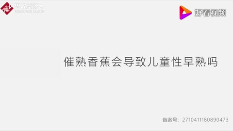科普辟謠：催熟香蕉會導致兒童性早熟嗎？