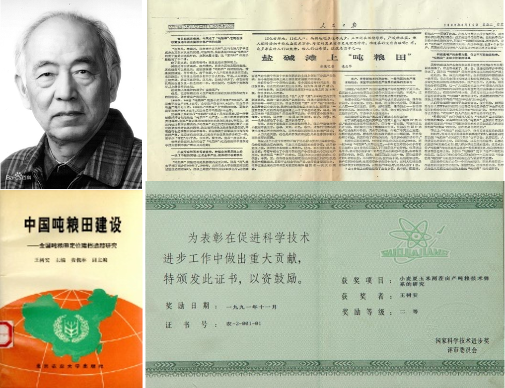 王樹安—在黃淮海平原農(nóng)業(yè)開發(fā)中做出了重要貢獻(xiàn)