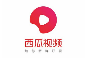 西瓜視頻——<em>字節(jié)</em><em>跳動</em>旗下的中視頻平臺