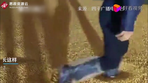 探秘“大國糧倉”！原來中央儲備糧庫長這樣