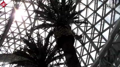 青島世博園景區(qū)<em>的</em>植物館