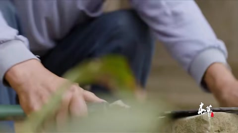 中藥本草青蒿素對(duì)世界人類(lèi)的貢獻(xiàn)