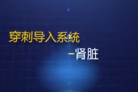 經<em>皮</em>穿刺腎造瘺