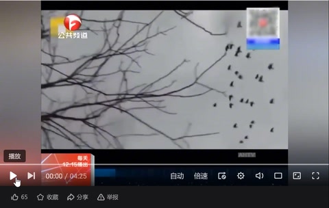授課視頻—<em>疫情</em>下<em>的</em>愛情：<em>隔</em><em>空</em>不<em>隔</em>愛