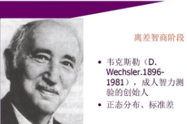 什么是韋氏<em>智力</em>測驗