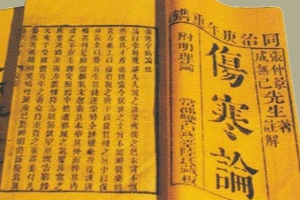 快速<em>了解</em>《<em>傷寒</em><em>雜</em><em>病</em><em>論</em>》