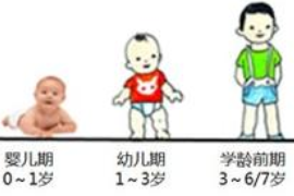 幼兒年齡<em>劃分</em>