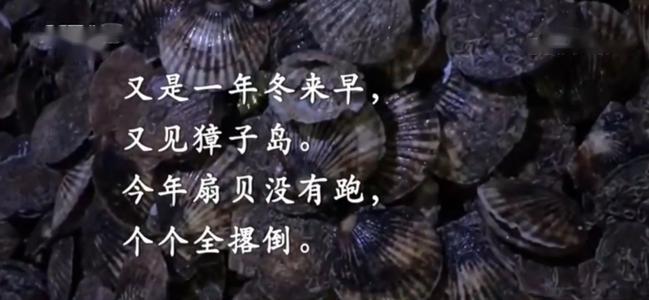 <em>項目</em><em>四</em><em>存貨</em>----<em>存貨</em><em>期末</em><em>計量</em>（<em>獐子</em><em>島</em>違規案例，合法經營重要性）-圖片4