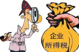 <em>授課</em><em>圖片</em>—企業(yè)所得<em>稅</em>