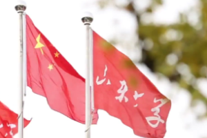 <em>微</em><em>課</em>：<em>漢語言</em><em>文學</em><em>專業</em>《現代漢語》