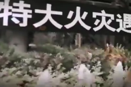 2010年上海靜安區“11.15特<em>大火</em>災"58人遇難，71人受傷