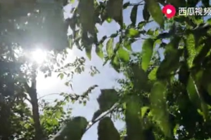 鐵路供電人——高鐵供電的‘幕后英雄’