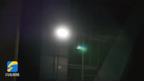 <em>接觸</em>網高空蝴蝶