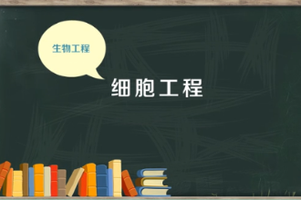 一分鐘了解<em>細胞</em>工程