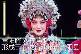 一分鐘了解青陽(yáng)<em>腔</em>