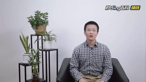 網絡爬蟲：搜索引擎背后的神秘“蜘蛛俠”