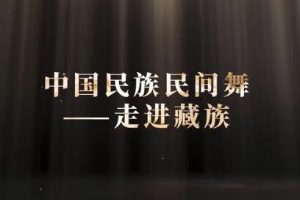 微課：早期教育、學前教育專業(yè)《舞蹈基礎—走進藏族民間舞之顫膝》
