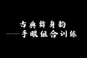 微課：早期教育、學(xué)前教育專(zhuān)業(yè)《舞蹈基礎(chǔ)—古典舞手眼組合》