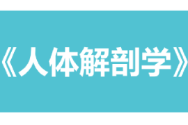 課件：康復治療學、護理學、助產學專業《人體解剖學》